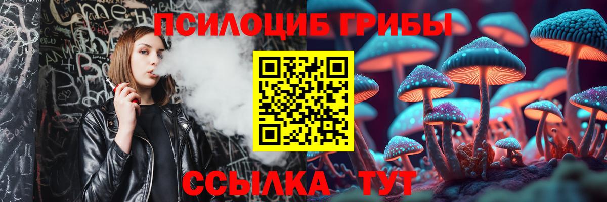 Псилоцибиновые грибы мицелий Новочебоксарск